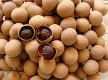 1575601515400417.jpg 5.jpg