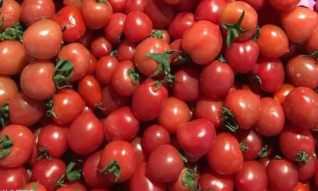 1575601558728571.jpg 8.jpg