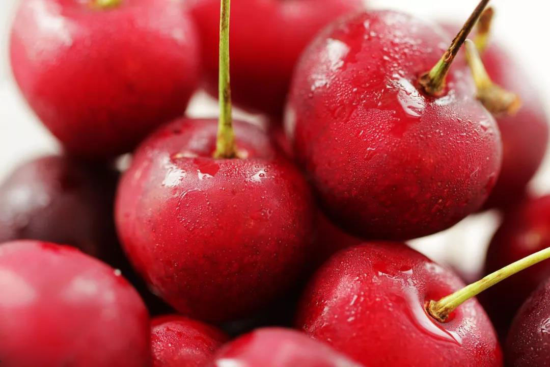 1575601563909026.jpg 1575601563909026.jpg