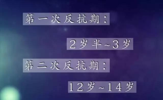 1575621846270374.jpg 2.jpg