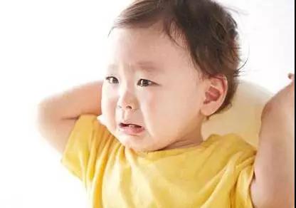 1575621854441144.jpg 3.jpg