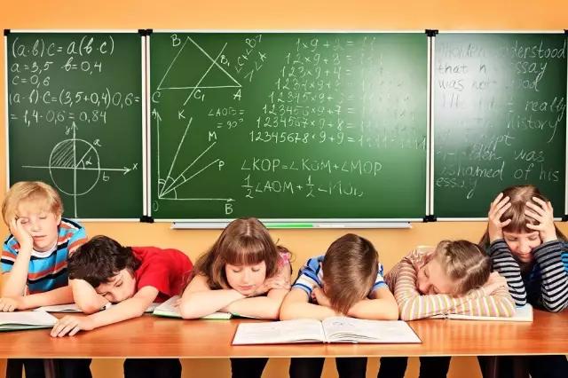 1575622022725966.jpg 2.jpg