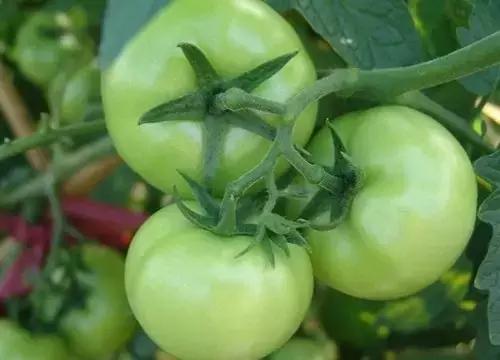 1575882699793893.jpg 3.jpg