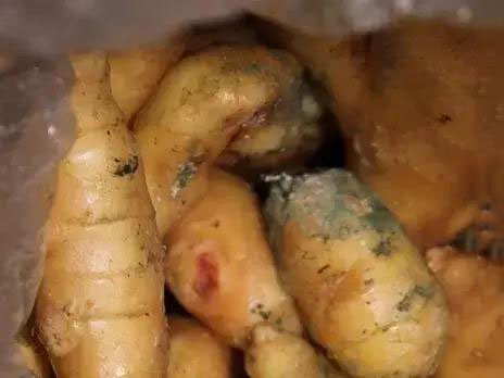 1575882712261312.jpg 4.jpg