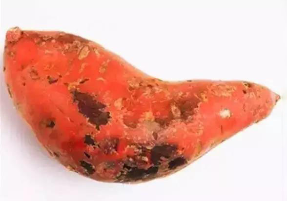 1575882741226557.jpg 6.jpg