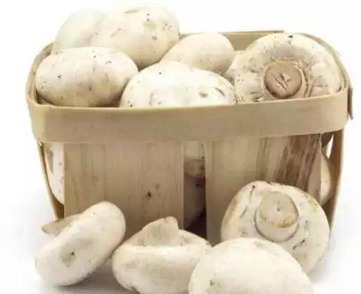 1575884514326663.jpg 7.jpg