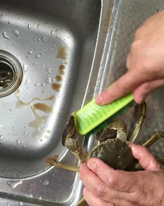 1575884547673429.jpg 10.jpg